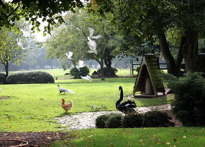 Le Manoir De La Haute Couette-café Inxent